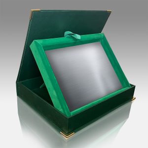 diploma catifea print verde arg