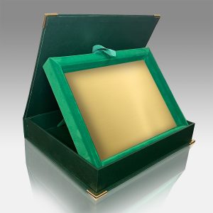 diploma catifea print verde aur