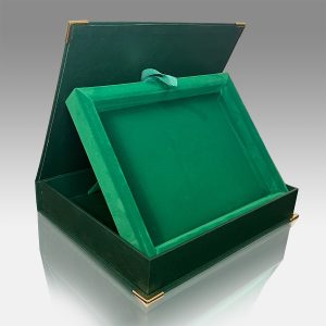 diploma catifea print verde simpla