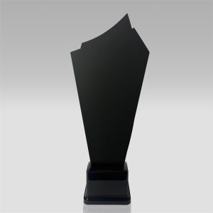 trof plexi bastion