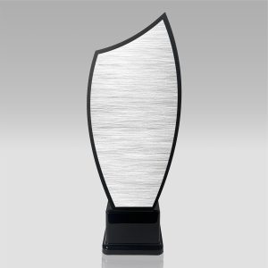trof plexi flacara abs arg