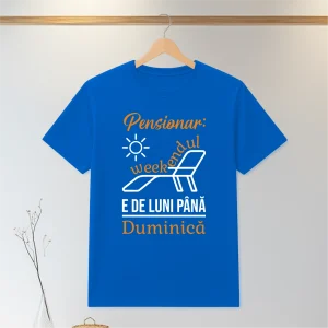 Acasă a4 albastru #0177